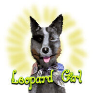 Leopard Girl
