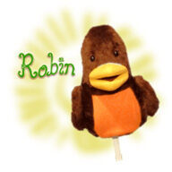 Robin