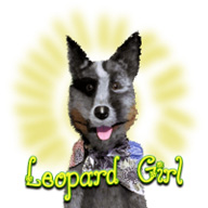 Leopard Girl