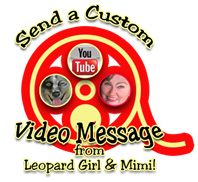 Custom Messages and Videos